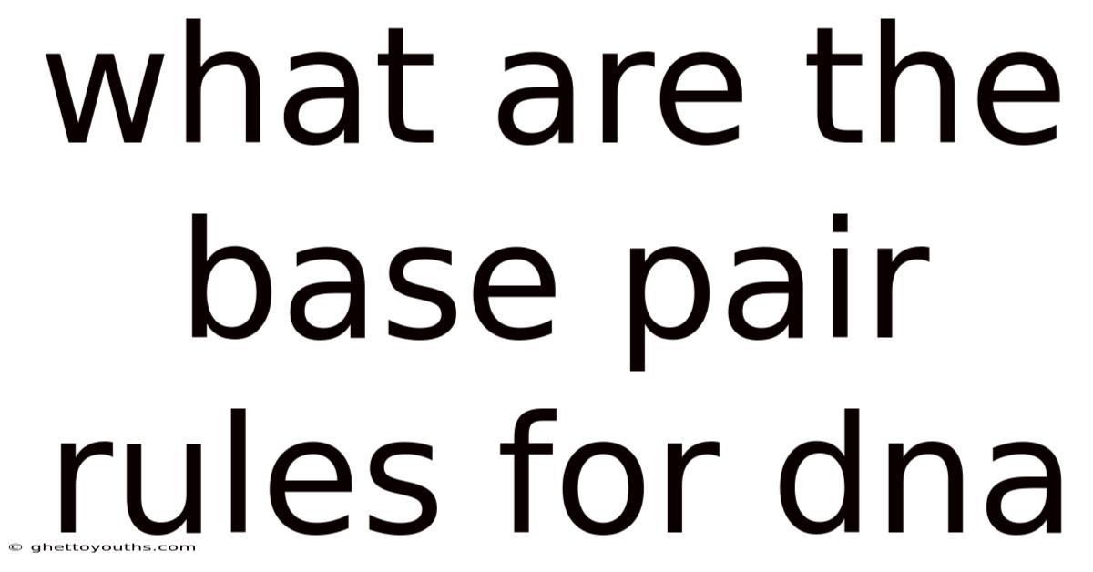 What Are The Base Pair Rules For Dna