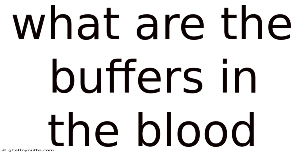 What Are The Buffers In The Blood