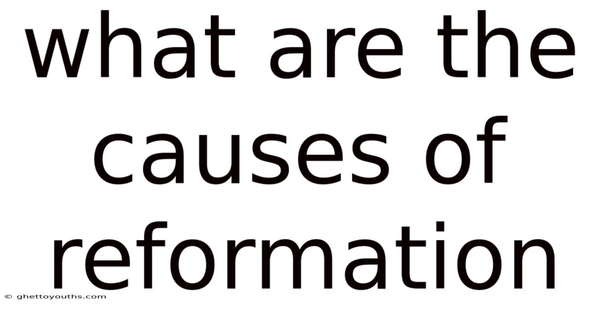 What Are The Causes Of Reformation