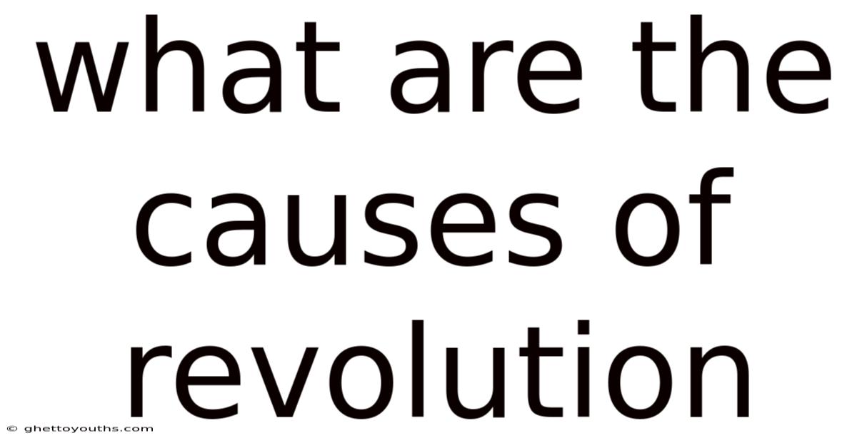 What Are The Causes Of Revolution