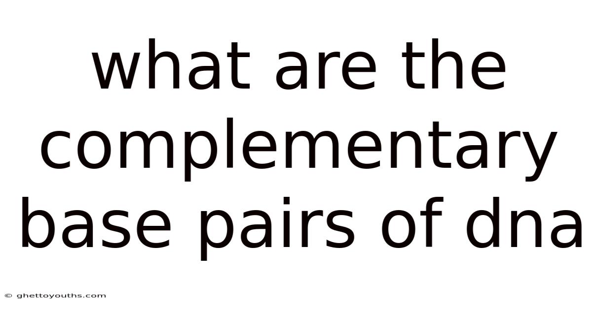 What Are The Complementary Base Pairs Of Dna