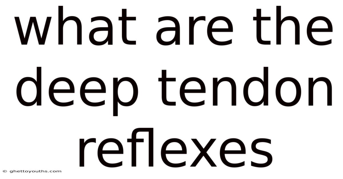 What Are The Deep Tendon Reflexes
