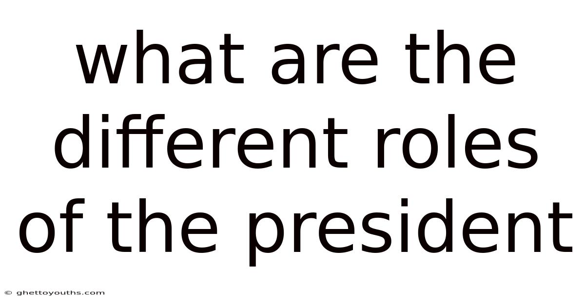 What Are The Different Roles Of The President