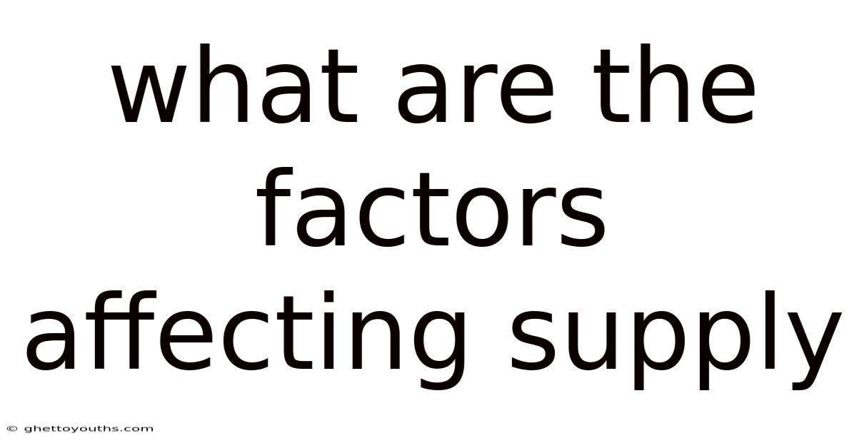 What Are The Factors Affecting Supply