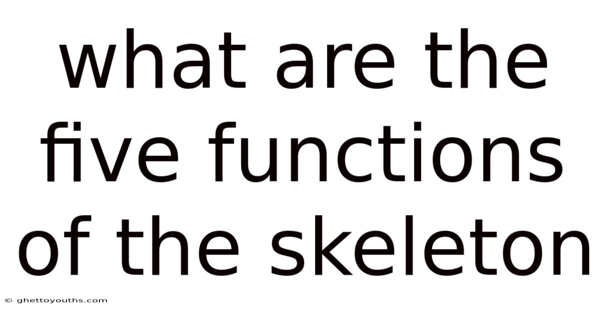 What Are The Five Functions Of The Skeleton