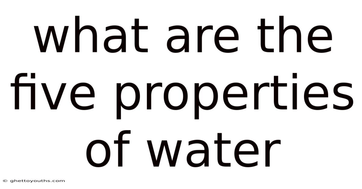 What Are The Five Properties Of Water