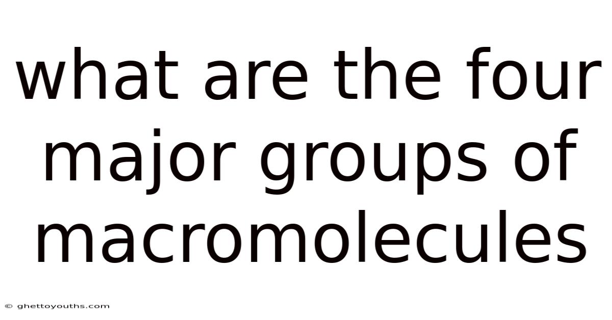 What Are The Four Major Groups Of Macromolecules