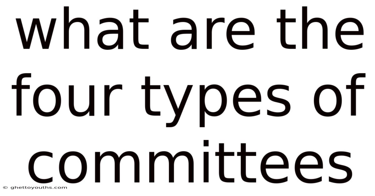 What Are The Four Types Of Committees