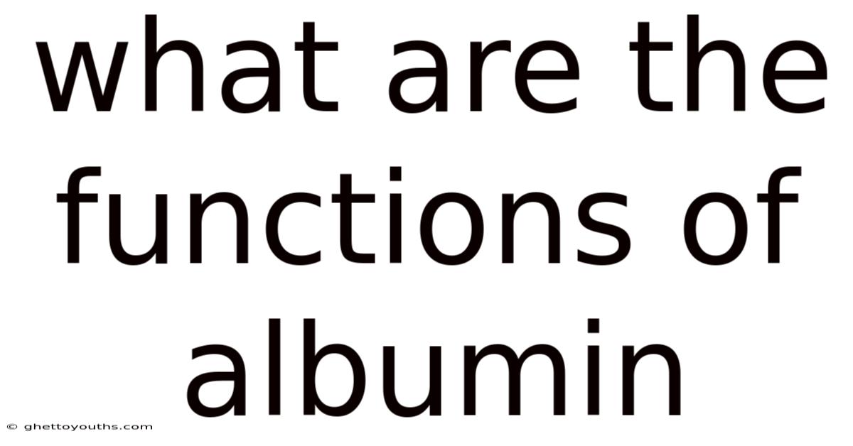 What Are The Functions Of Albumin