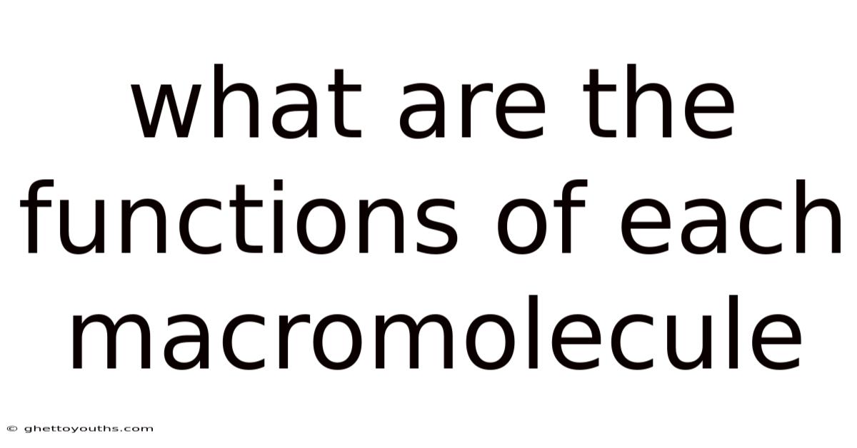 What Are The Functions Of Each Macromolecule