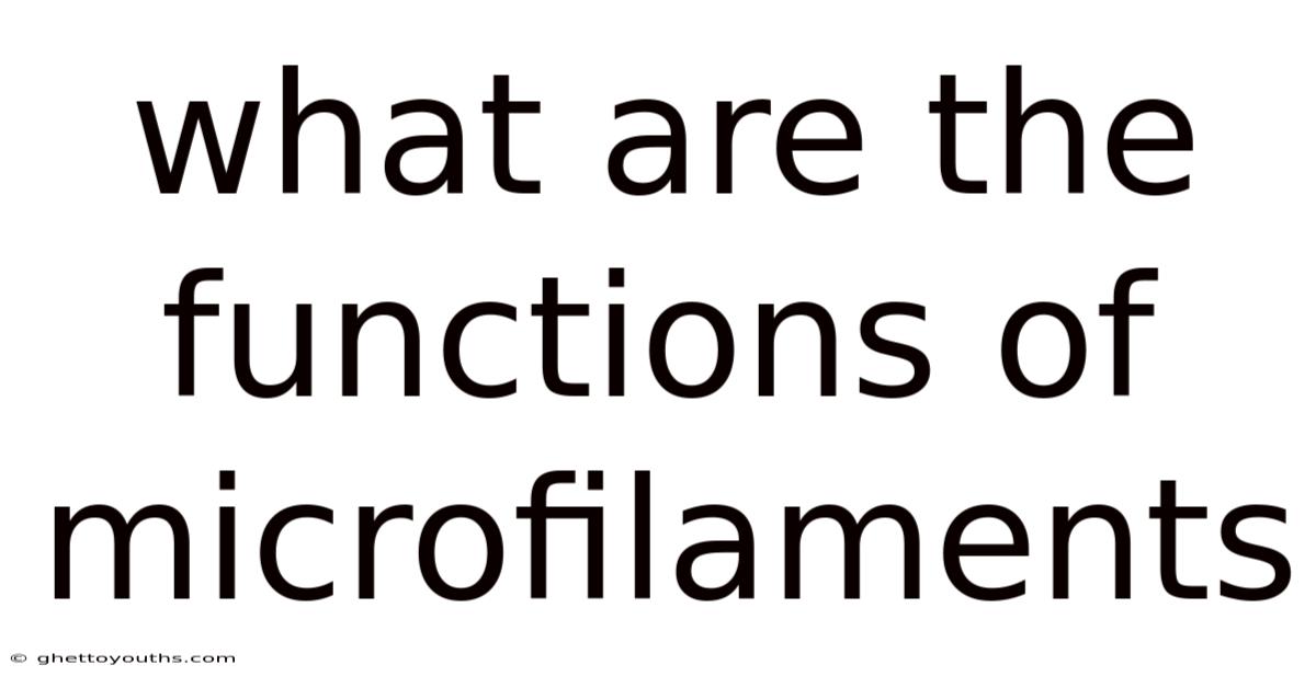 What Are The Functions Of Microfilaments