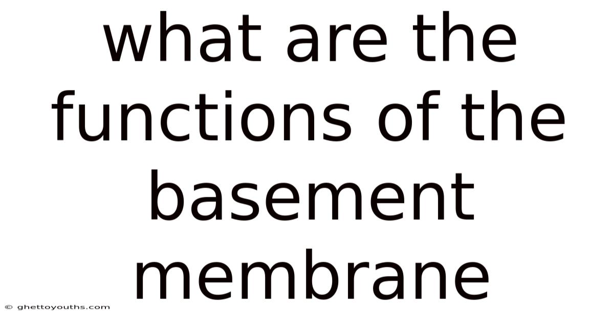 What Are The Functions Of The Basement Membrane