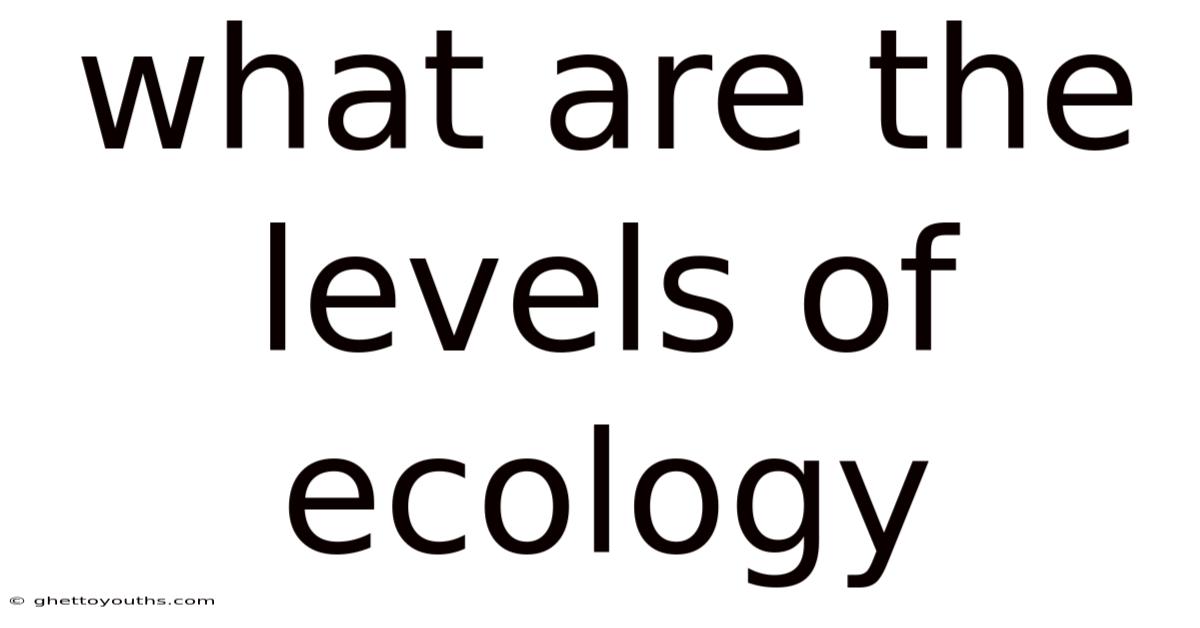 What Are The Levels Of Ecology