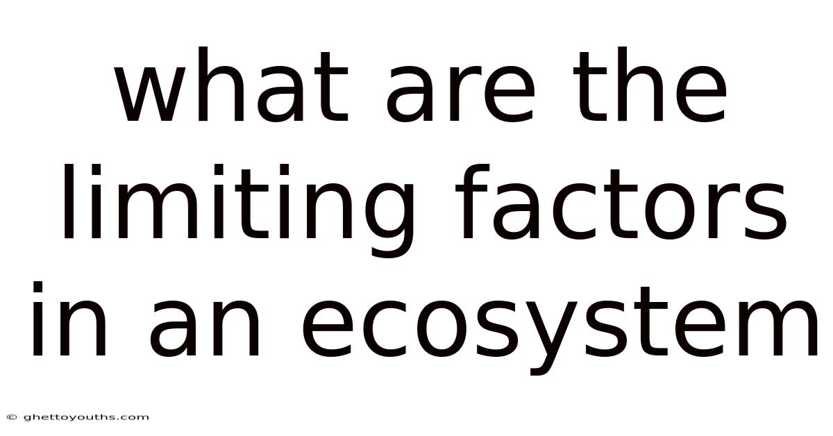What Are The Limiting Factors In An Ecosystem
