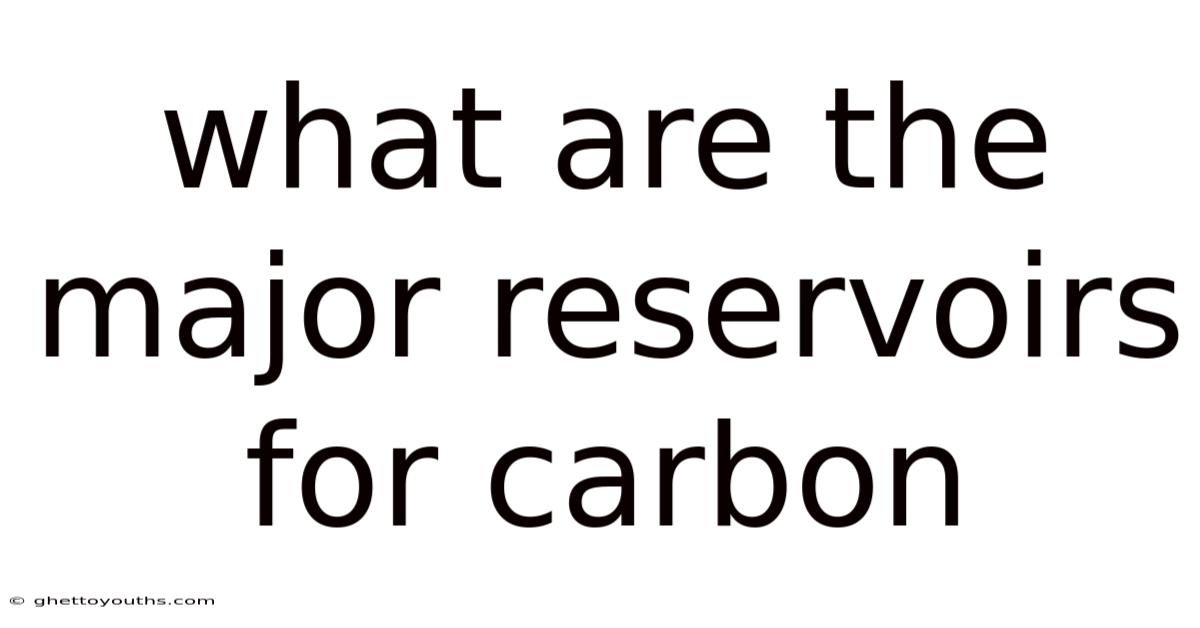 What Are The Major Reservoirs For Carbon