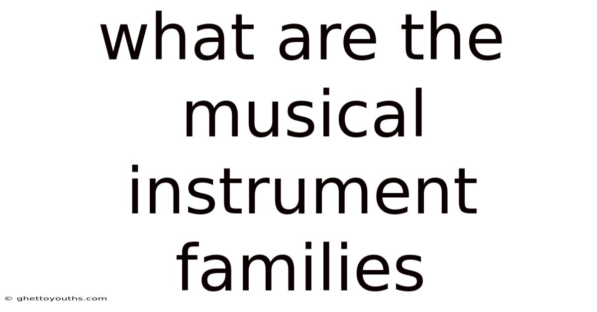 What Are The Musical Instrument Families