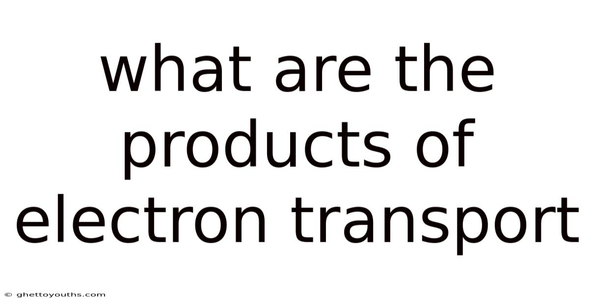 What Are The Products Of Electron Transport