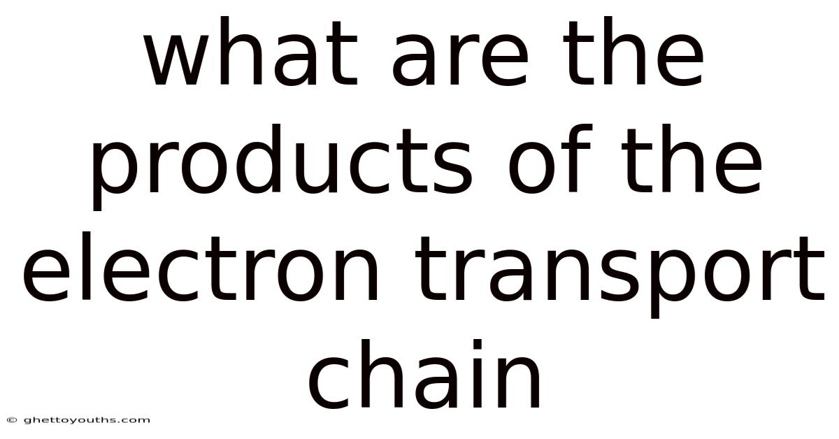 What Are The Products Of The Electron Transport Chain