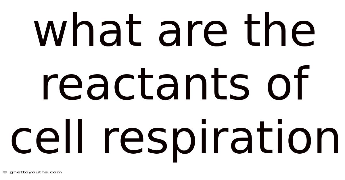 What Are The Reactants Of Cell Respiration