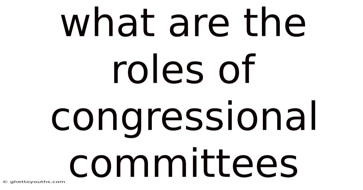 What Are The Roles Of Congressional Committees