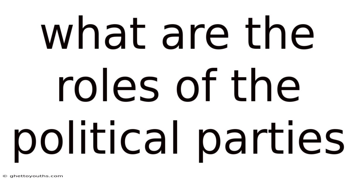 What Are The Roles Of The Political Parties