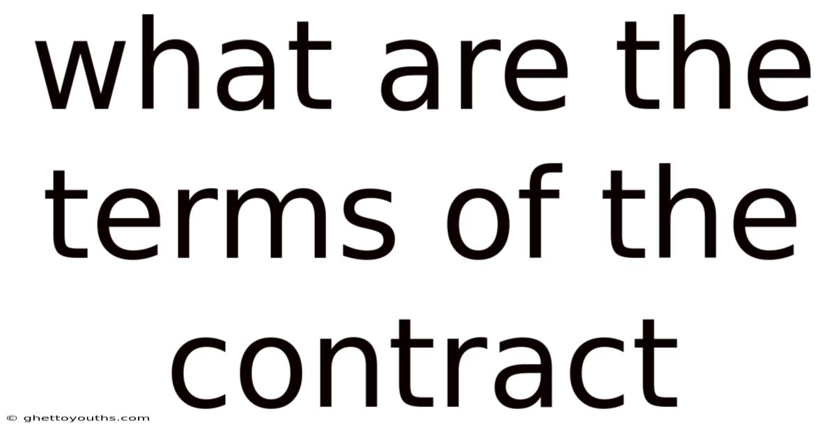 What Are The Terms Of The Contract