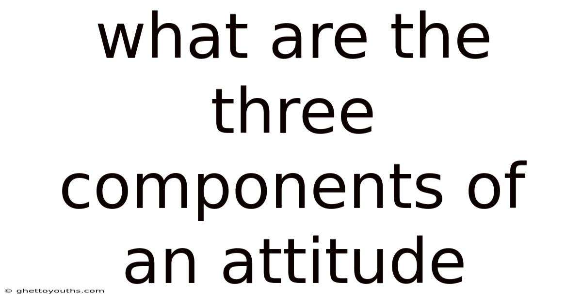 What Are The Three Components Of An Attitude