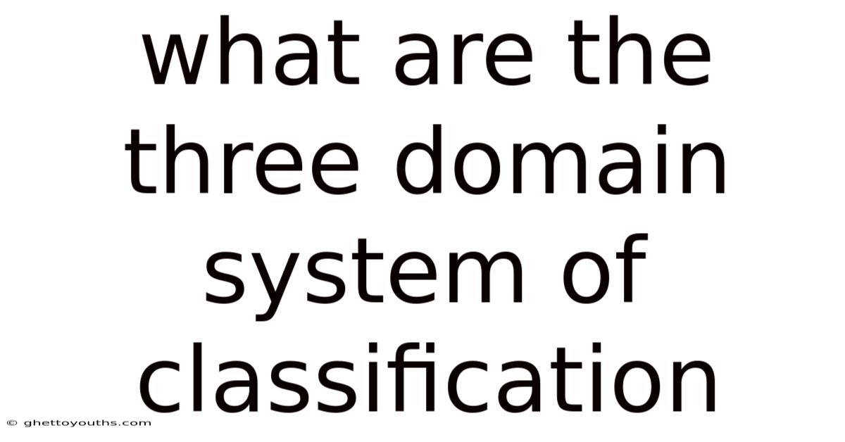 What Are The Three Domain System Of Classification