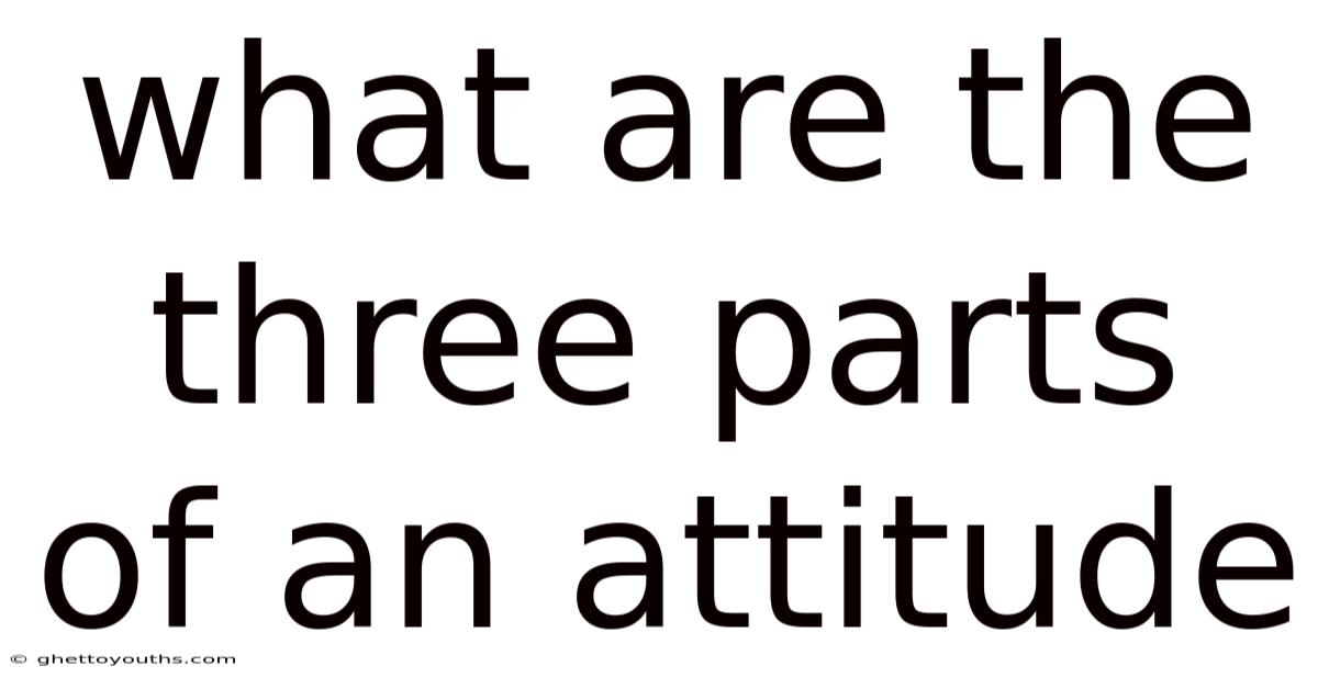What Are The Three Parts Of An Attitude