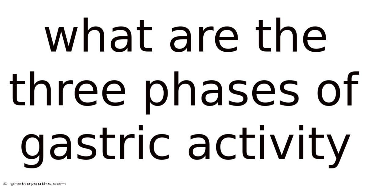 What Are The Three Phases Of Gastric Activity