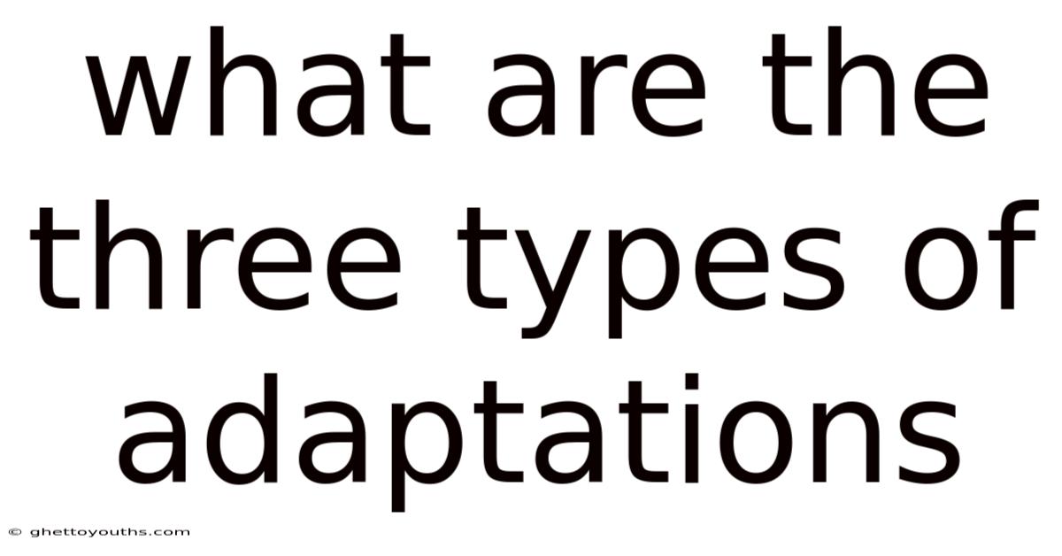 What Are The Three Types Of Adaptations