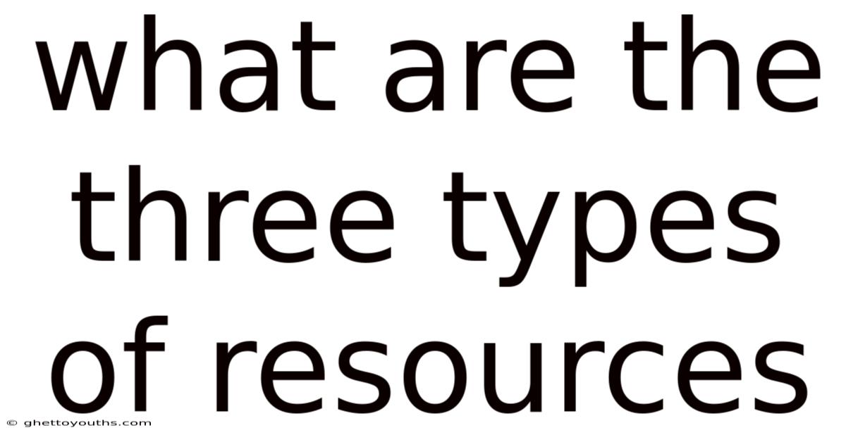 What Are The Three Types Of Resources
