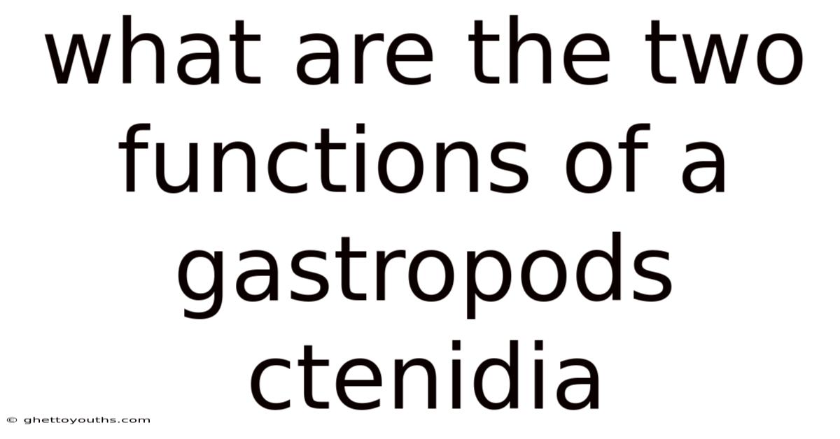What Are The Two Functions Of A Gastropods Ctenidia