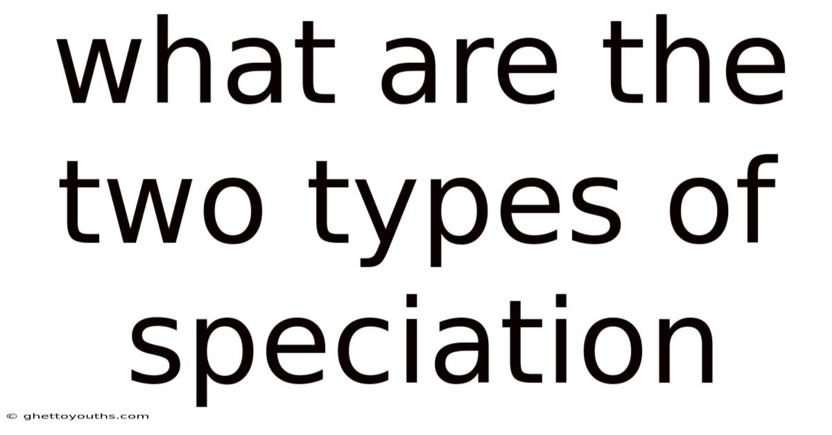What Are The Two Types Of Speciation
