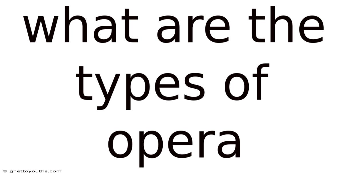 What Are The Types Of Opera