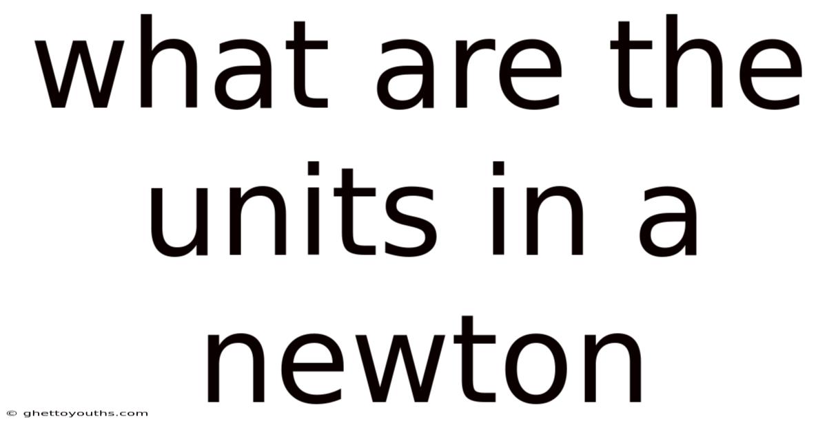 What Are The Units In A Newton