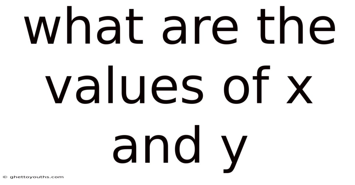 What Are The Values Of X And Y