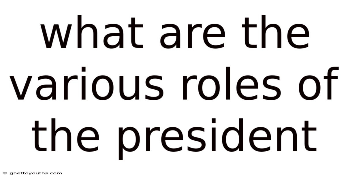 What Are The Various Roles Of The President