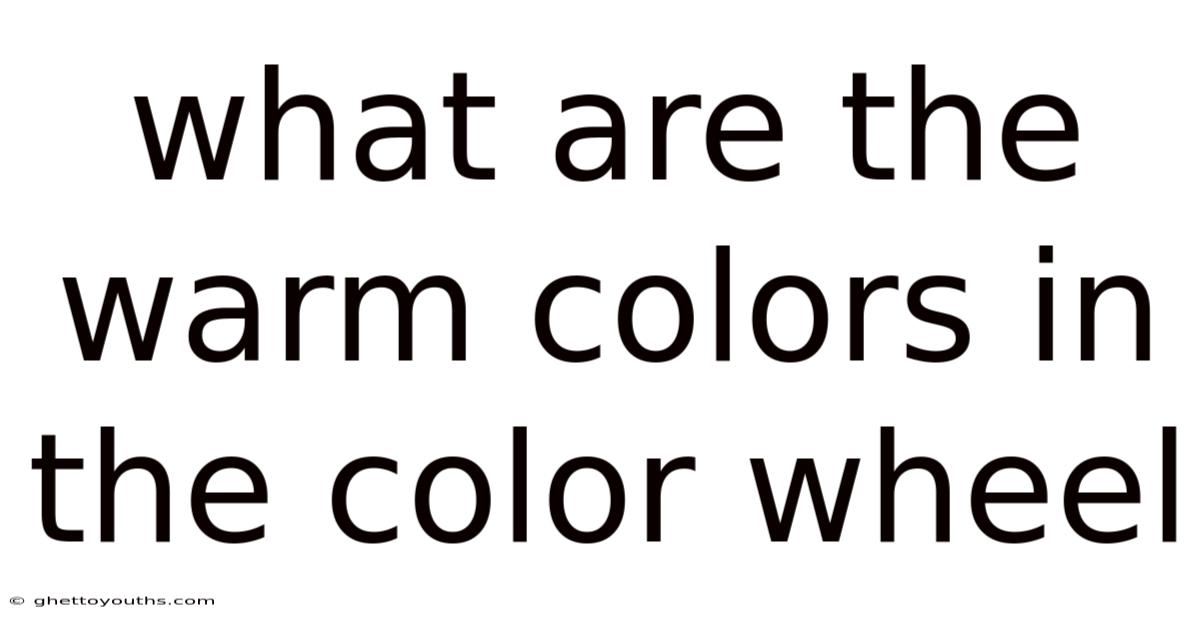What Are The Warm Colors In The Color Wheel