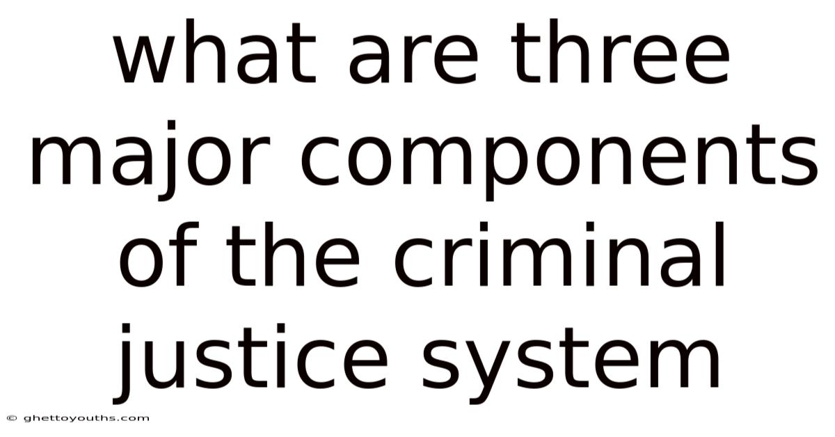 What Are Three Major Components Of The Criminal Justice System