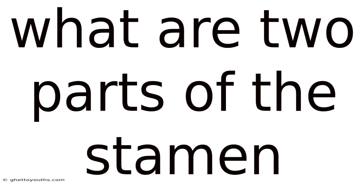 What Are Two Parts Of The Stamen
