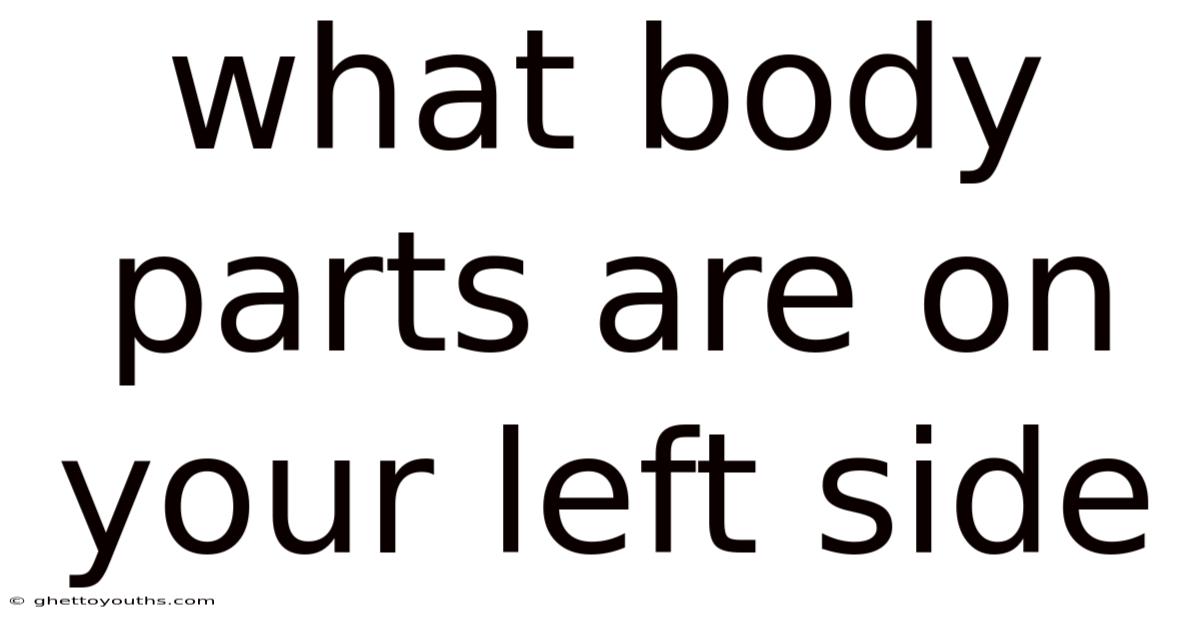 What Body Parts Are On Your Left Side
