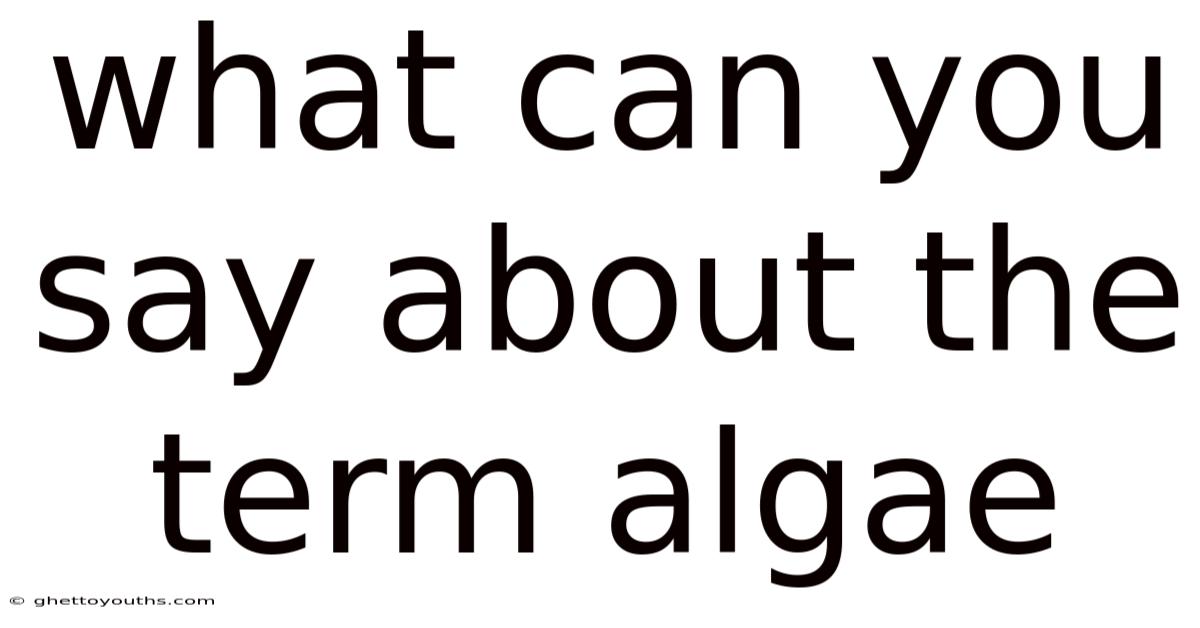 What Can You Say About The Term Algae
