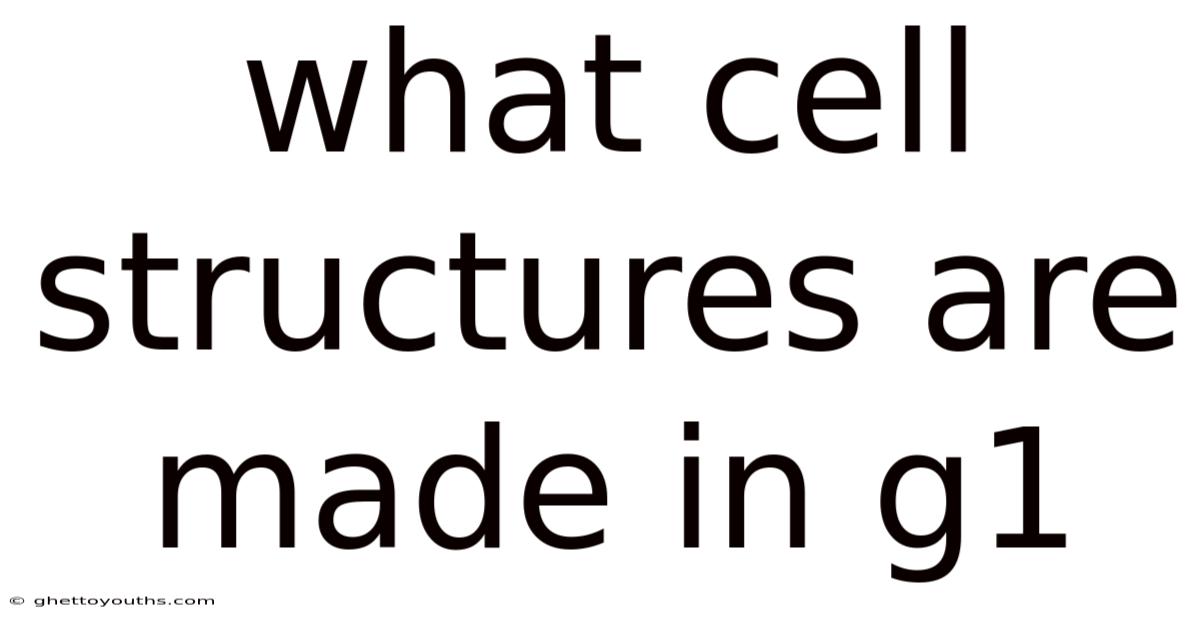 What Cell Structures Are Made In G1