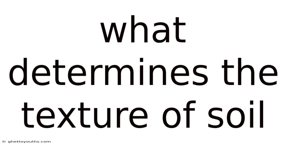 What Determines The Texture Of Soil