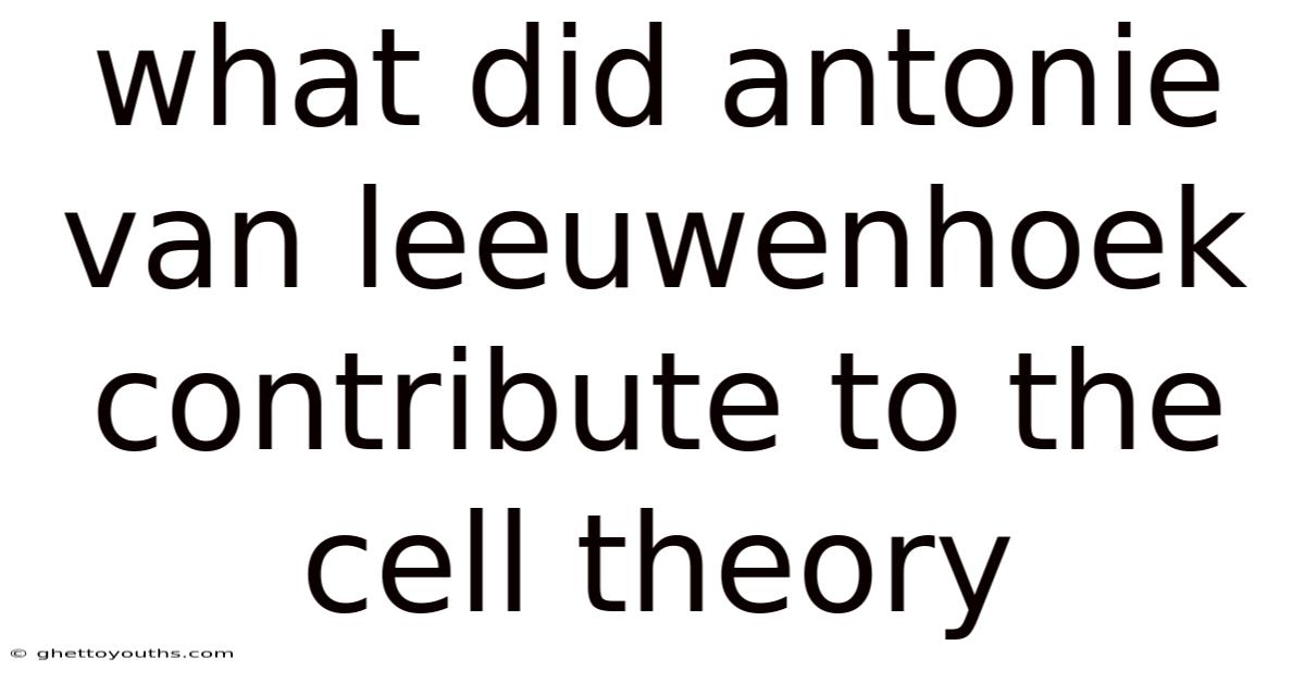 What Did Antonie Van Leeuwenhoek Contribute To The Cell Theory