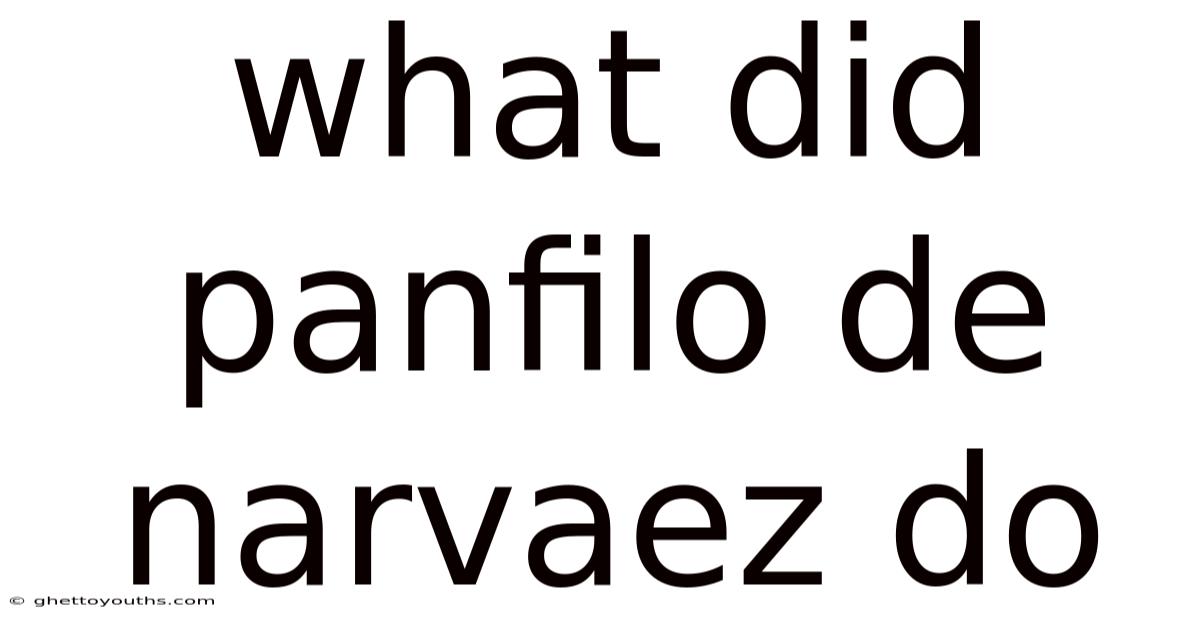 What Did Panfilo De Narvaez Do