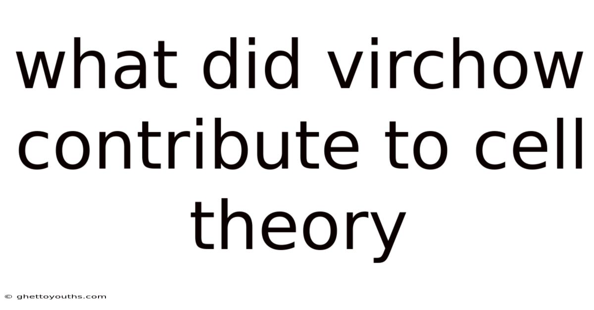 What Did Virchow Contribute To Cell Theory