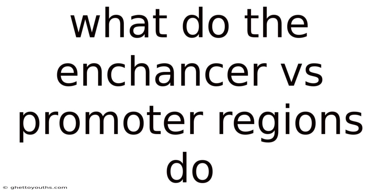What Do The Enchancer Vs Promoter Regions Do