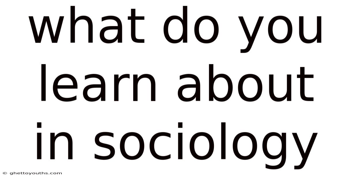 What Do You Learn About In Sociology